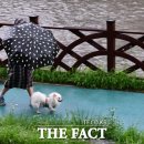 [오늘의 날씨] 서울 150mm 물폭탄…하천·계곡 범람 주의 이미지