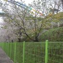 서곶공원 이미지