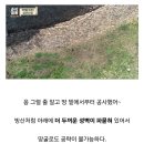 실존하는 대한민국 최고의 난공불락 요새 (feat.광기) 이미지