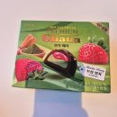 베리몰 | 롯데 가나 시즌 한정 프리미엄 말차 베리 초콜릿 후기