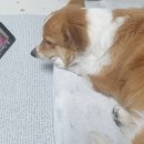 동엽농장 이미지