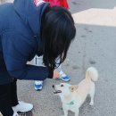 백령리조텔 이미지