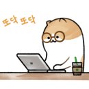 필라인그룹 이미지
