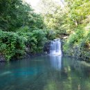 무릉도원팬션 이미지