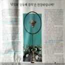 센수스(sensus)
