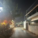 춘천온테라 승모근 관리 씨앤피헤어