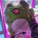 보물찾기 뽑기방 이미지