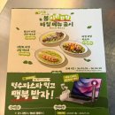 덕수파스타 부산서면점 | 전포파스타 맛집 봄 시즌한정 바질 신메뉴 덕수파스타