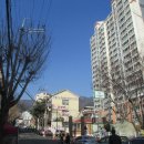 베스트신우 이미지