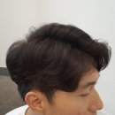 비손헤어 이미지