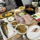 도쿄도 가고 대구도 가고 부산도 ㄱㅏ,,, 욘길동 일상
