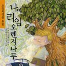나의라임오렌지나무