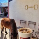 서라벌동물병원 이미지