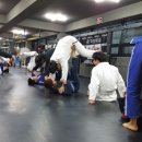 복싱 MMA 주짓수 마이티짐 이미지