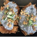 새절역1번출구 이미지