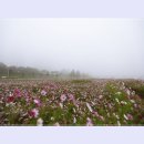 여주-1100 이미지