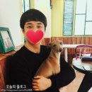 덕수네 애견 | [부산대] 새로 생긴 부산대 덕수네 애견카페 후기♥