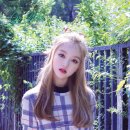 혜다