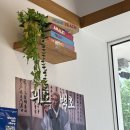 홍대포케맛집 슬로우캘리 홍대입구역점 | 연참문퐄 가격, 구성 내돈내산 후기