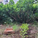 금촌농약사 이미지