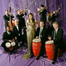 PINK MARTINI(핑크 마티니) 이미지