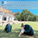 명태의 꿈(아트벤치 | 호암미술관 전시 추천! &#39;루이즈 부르주아: 덧없고 영원한&#39; 예매 관람포인트/ 아트샵