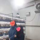 서암농장 | 농촌투어패스 후기