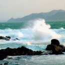 바닷가에서 이미지