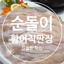 싸다횟집 | 광주 진월동 횟집 추천 [순돌이활어직판장] 도다리회 후기