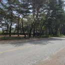 송림여관 이미지