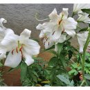 중곡3동주민센터 이미지