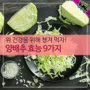 양배추 효능 9가지 이미지