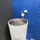 코코피트니스 금천점 이미지