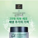 뷰홀릭