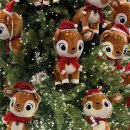 수원-1641 | 2025년 크리스마스뎃투 연말뎃투 -루덴시아, 속초아이대관람차, 에이플레이스, 영랑호, 제천마린힐캠핑장