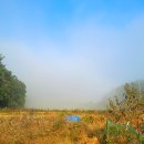 덕연농장 이미지