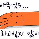 럭셔리호프 이미지