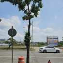 논산대로 이미지