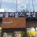 올리몰스 펫샵 이미지