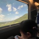 마디손정형외과병원 | 대구 9개월아기 손끼임사고 파티마병원 정형외과 방문후기