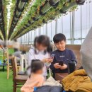 유희농장 이미지