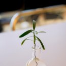 (주)오렌지여행 이미지