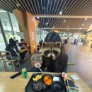 츄츄바앤츄밥 이미지