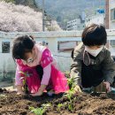 반송1동어린이집 이미지