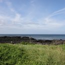 하도스테이 이미지