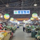 농수산물도매시장 | [울산 농수산물도매시장 장보기 후기] 신선한 채소 위주 장보기 추천