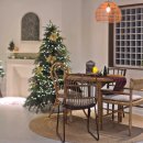 스테이 오후열시 이미지