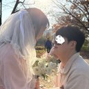 보정 | 소나무당 웨딩 사진 보정 내돈내산 후기!🌳 셀프 스냅 사진 자연스럽게 살리는 꿀팁