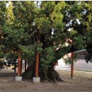 종로-종로-종로-종-194 이미지