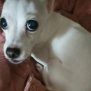 강서방국수 | 막막함을 지워주는 힘